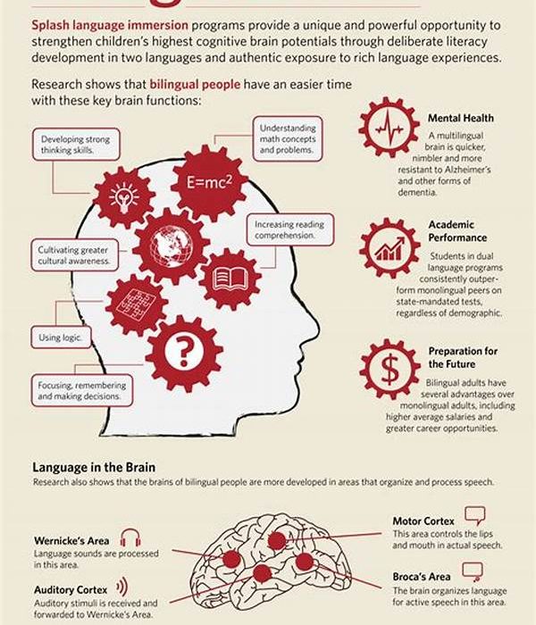 Bilingualism Influence On Brain Structure
