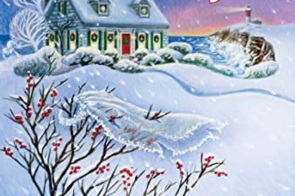 Popular Winter Cozy Mystery Series