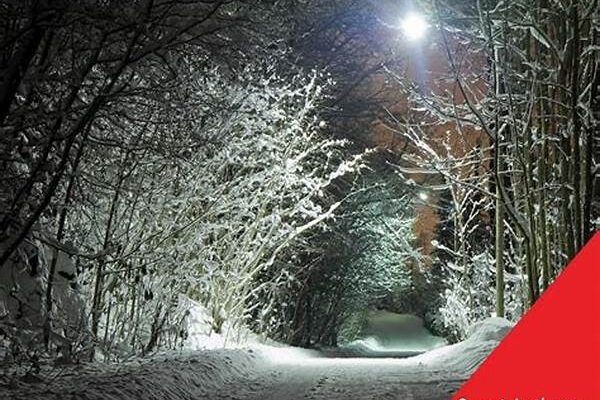 “winter Mysteries For Cozy Nights”